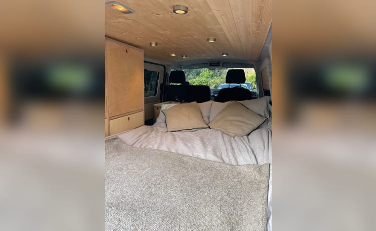 VW Canpervan con 2 posti letto - stile Scandi - 2018