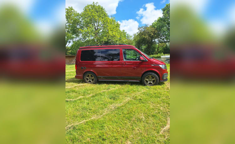 Boris – VW transporter 6.1 