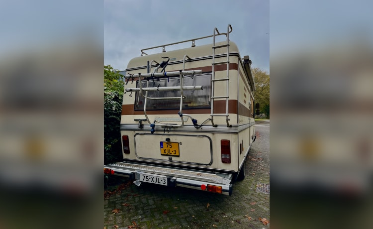 Bruine Beer – Hymer, klassieke Bruine Beer uit 1985 in top conditie