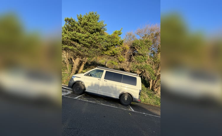 Vw T6 Swamper 2022