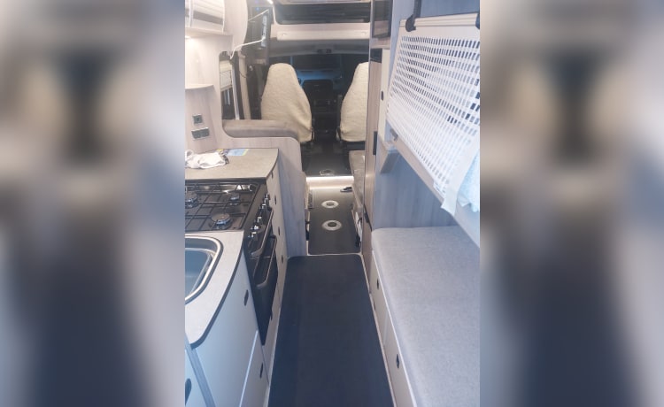 Camper Fiat 4 posti letto del 2022