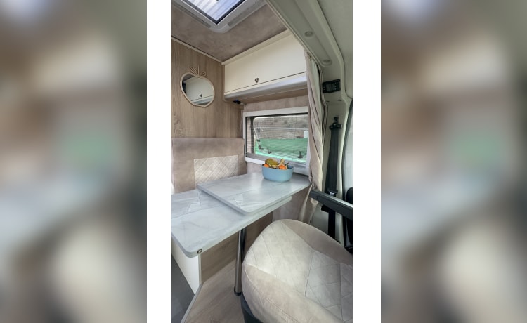 Bowie – Attractive, luxurious, off-grid campervan (incl. all-risk insurance)