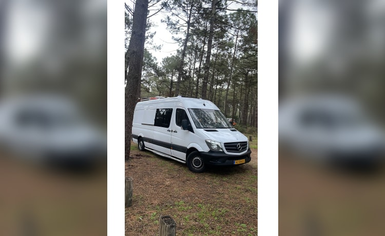 2p Mercedes-Benz bus uit 2014