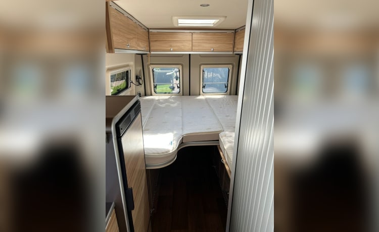 Camping-car bus HYMER luxe 2p