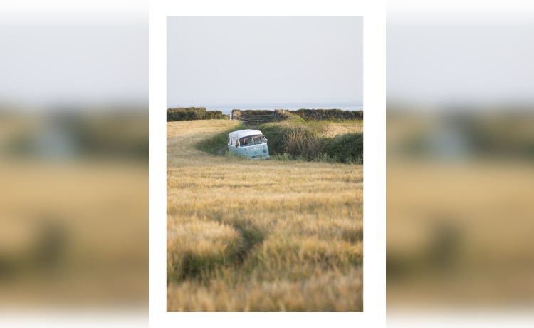Pip – Vintage VW Campervan 'Pip'