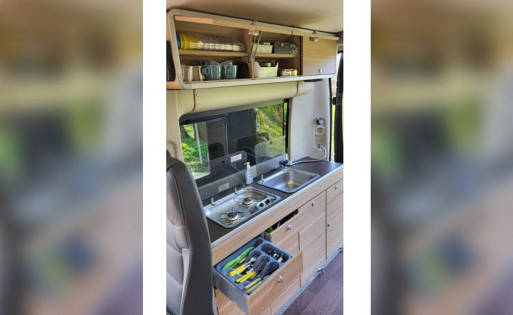 Buszz – Hymer RIo '14, 4-Sitzer/2 Schlafzimmer. Kompakt, überraschend geräumig