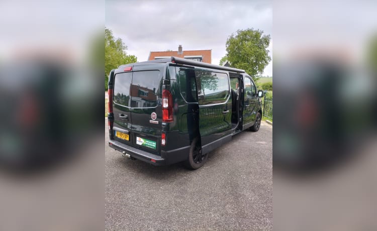 2p Fiat campervan uit 2017