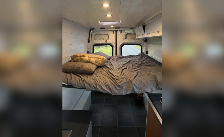 Monty – 2 berth Mercedes-Benz campervan from 2014