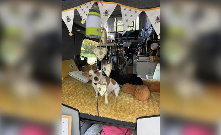 Frank – 4 berth Ford campervan from 2014