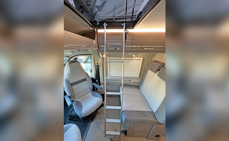 Betty George – Elddis 4-Bett-Campervan mit Automatik, 2024