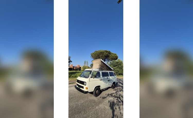 DANDY – VW T3 MITO SENZA TEMPO