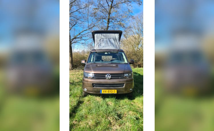 Volkswagen camper met ruim interieur 