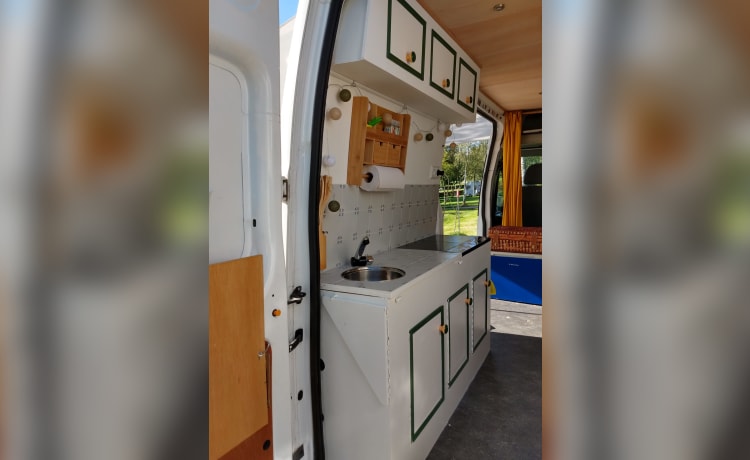 Ferdinand Ford – Ford Transit camper van from 2021 two persons.