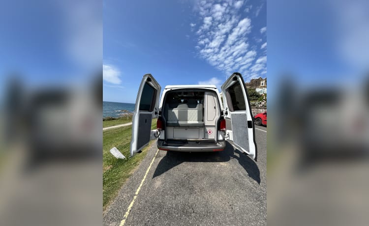 Aggi – Pick me, pick me!! 2021 (VW T6.1) NEW prof conversion - N. Devon