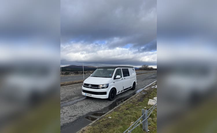 2 berth Volkswagen T6 LWB 2016 ( awning sleeps additional 2 persons ) 