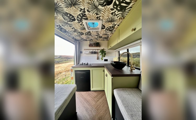 Murphy – The Big Green Camper