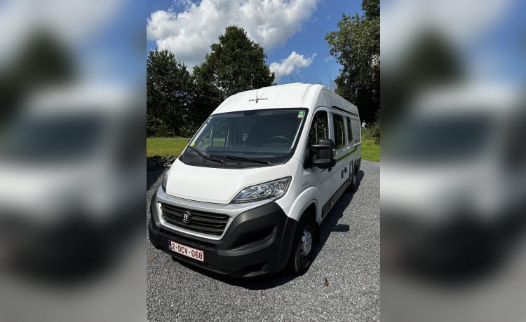 Hobby – 3p Fiat campervan uit 2021