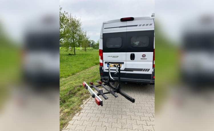 Heunie 1 – Schöner Buscamper mit 2 Längsbetten