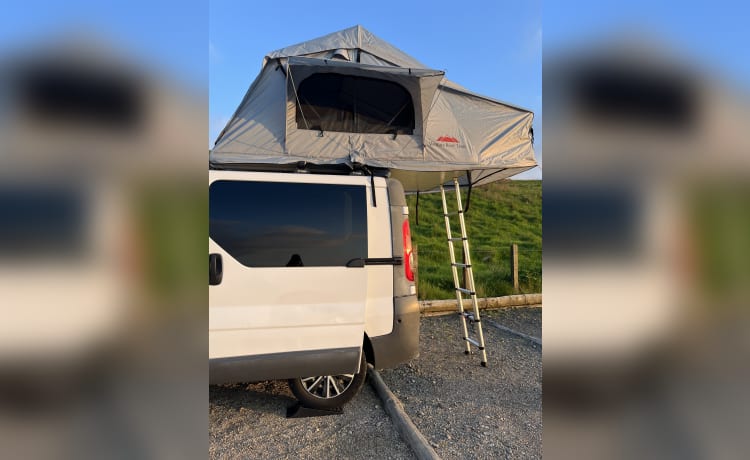 N500 Campervan – 4 berth Other rooftop from 2007