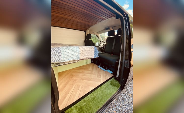 Fillmore  🚐  – Fillmore 🚐 Volkswagen T6 - 2018 - automatic - 2p