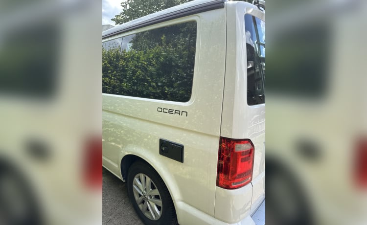 Cali  – Volkswagen California T6 (camper di fabbrica, originale)