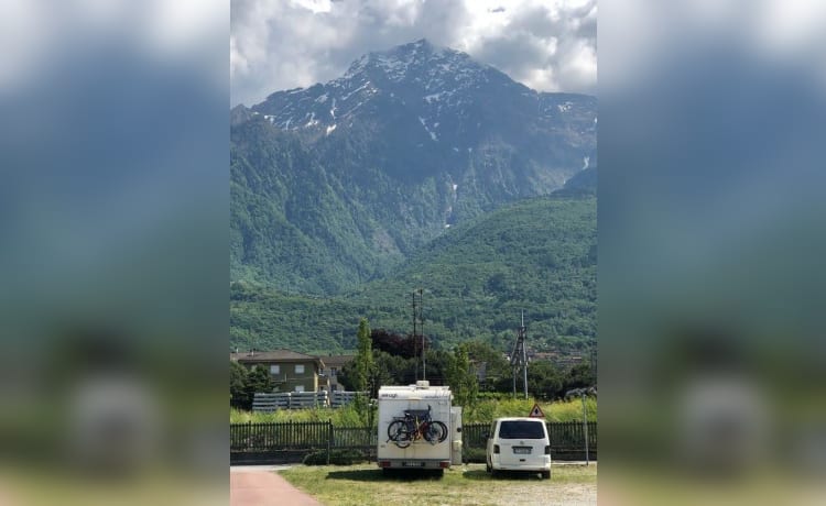 Ze gaan alleen vrij of op een camping slapen