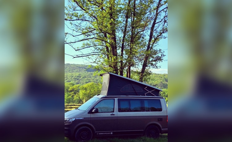 CALI Brown Grey – Volkswagen California COAST Brown/AscotGrey (2021)