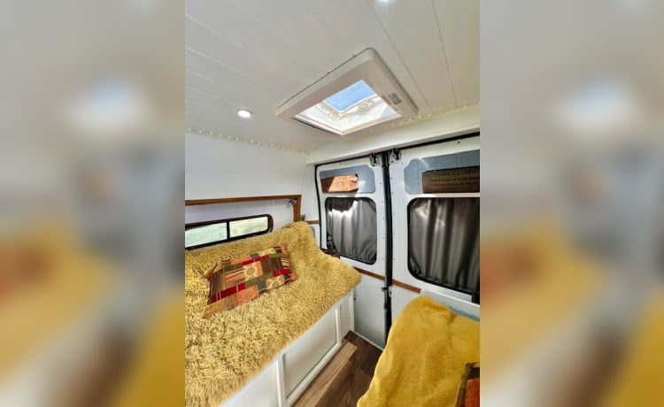 Ozzy – Stylish newly fitted 3 berth MWB camper 2016 Peugeot Boxer 