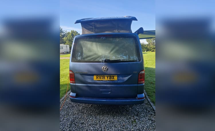 Callie – 4-persoons Volkswagen campervan uit 2018