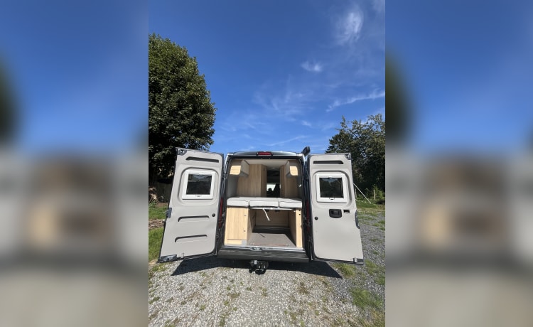 Clever Celebration II – Nieuwe campervan met hefdak voor 4p