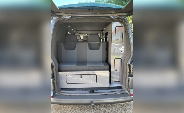 Grey Wolf – 4-persoons Volkswagen campervan uit 2016