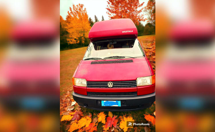 FREAK – Volkswagen T4 Westfalia CamperVan 4 zitplaatsen Compact Veelzijdig Hard Top