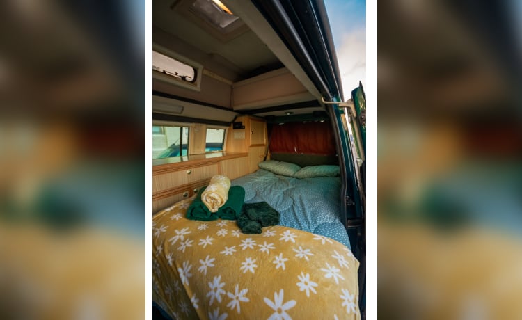 Vinny – 4 posti letto Volkswagen T4