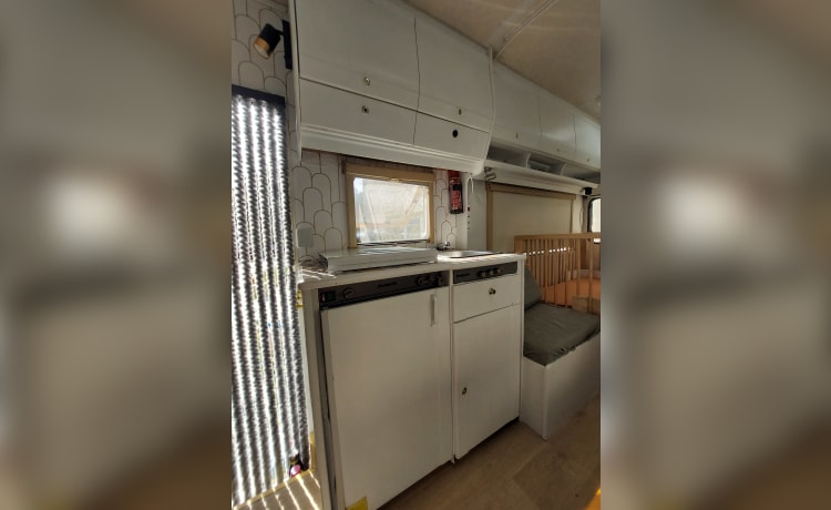 Billy – Dethleffs (Fiat Ducato) Alcove from 1995