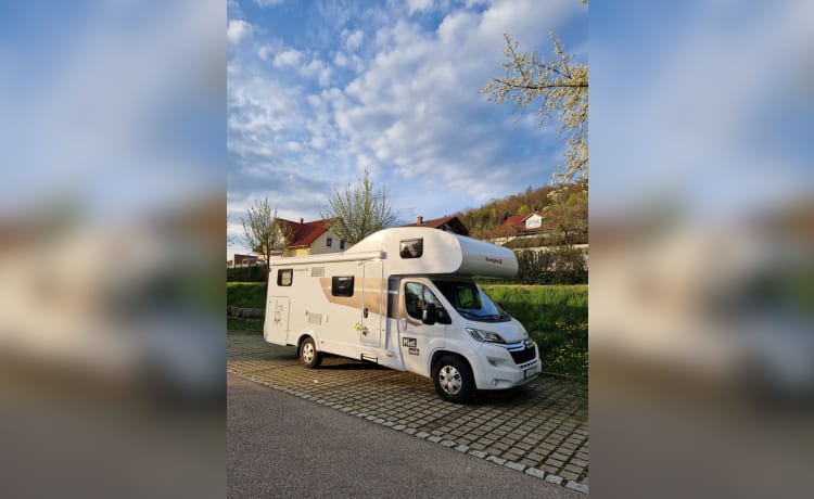 WöffTöff  – Wohnmobil mieten mit Hund oder auch ohne