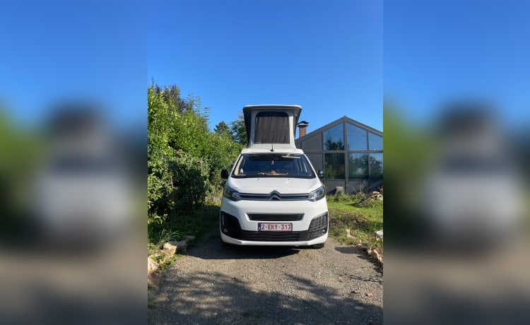 colibri bus – Camping-car 4p Pössl E-VANSTER de 2023