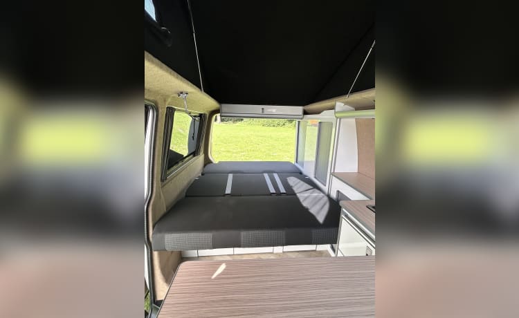 4p Volkswagen campervan uit 2021