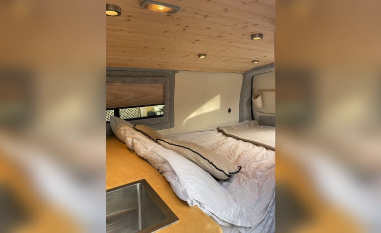 VW Canpervan con 2 posti letto - stile Scandi - 2018