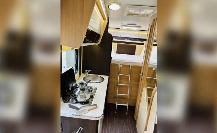 6p McLouis alcove uit 2023