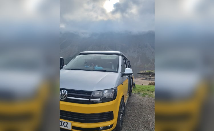 Bumble – 2 berth + 2 kids Volkswagen T6 campervan from 2016