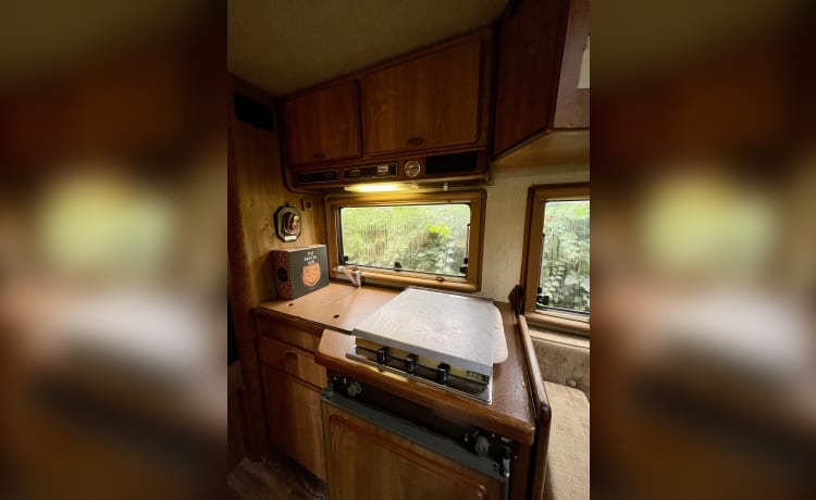 Bruine Beer – Hymer, Brown Bear from 1985 in top condition