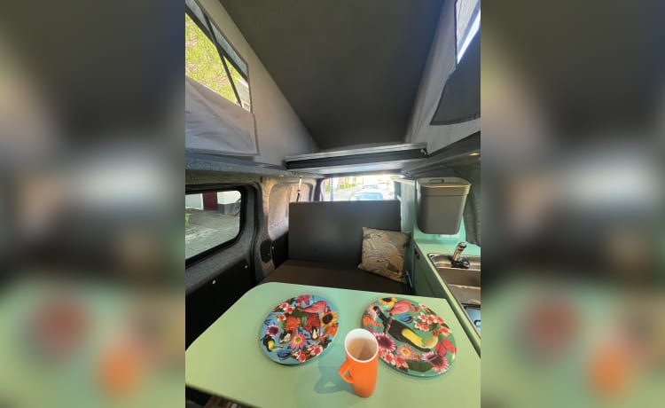 vrijheid blijheid – 4p extended Citroën campervan from 2017 