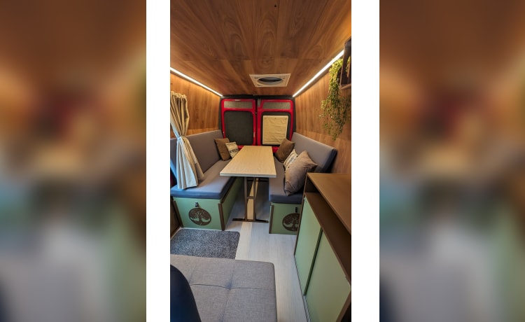 YUS de bus – Joli camping-car Peugeot Boxer à construire soi-même