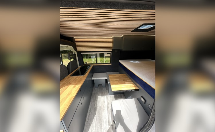 Fiat-camper met 2 slaapplaatsen uit 2016