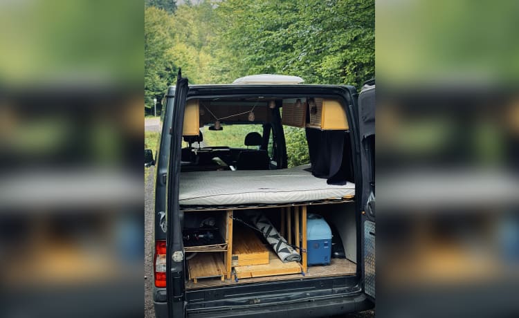 Goldy – Goldy DIY Van Ford Transit