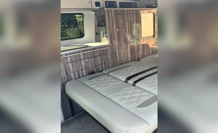 Premium 4 berth Volkswagen Campervan 2021