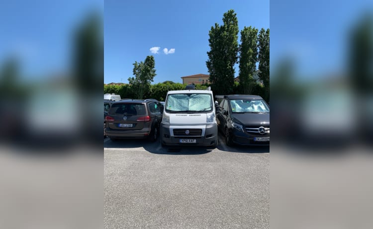 Saf – Fiat-camper met 2 slaapplaatsen uit 2011