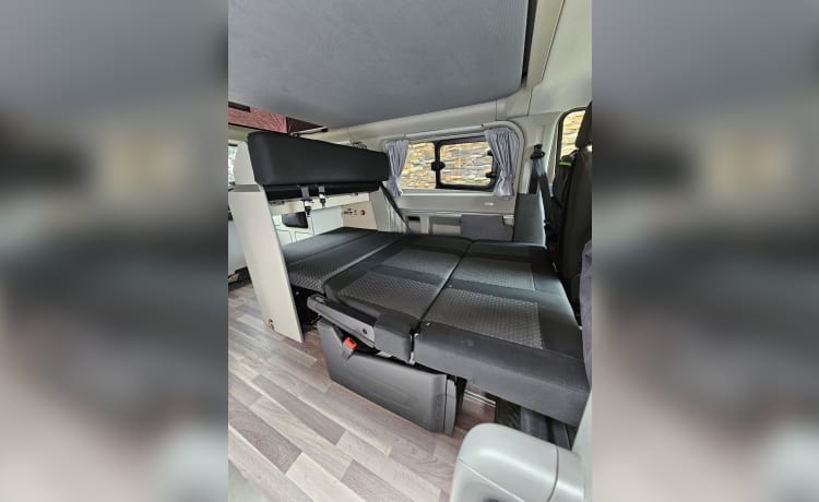 Westfalia-Bus für 4 Personen, Baujahr 2020 Ford Nugget