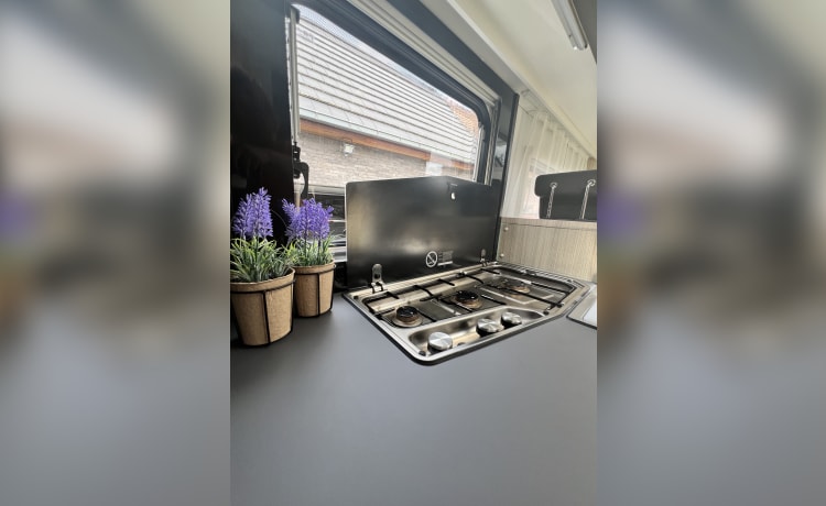 Sunny – Nieuwe 5p Sunliving Alkoof Camper