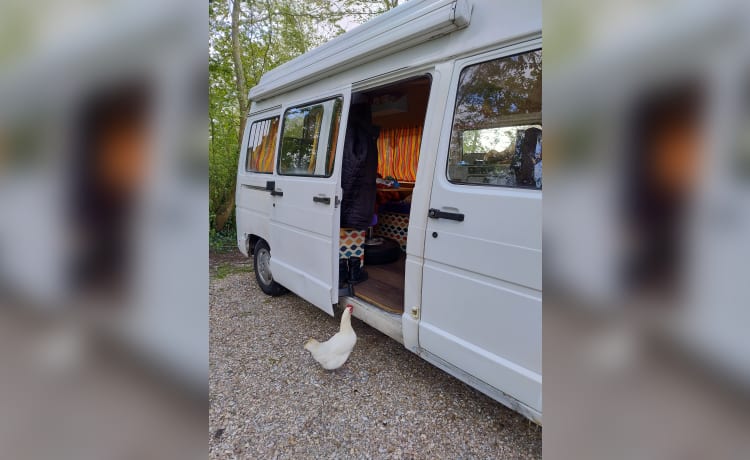 2 persoons Renault campervan uit 1995 – On an adventure with a cheerful disco camper!